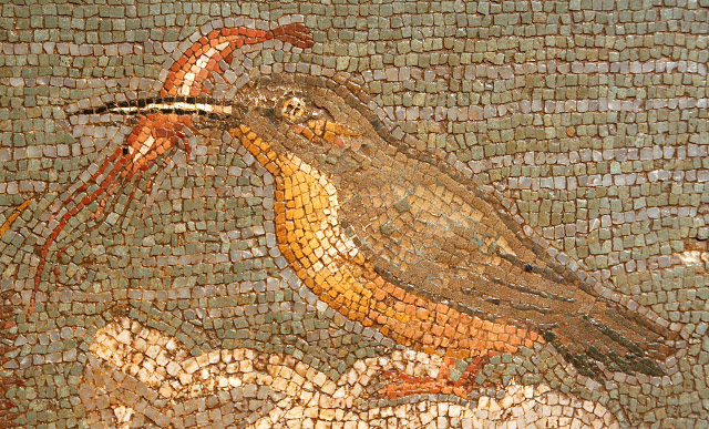 The beautiful mosaics of Empúries | LaptrinhX / News